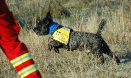 hunde4.jpg hunde4.jpg