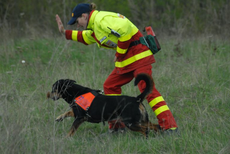 hunde7.jpg