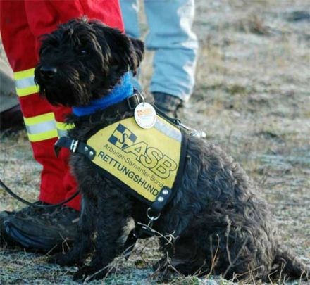 hunde9.jpg hunde9.jpg